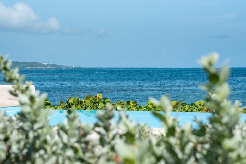 Pasha - Ocean View Apartman Sainte-Anne  Kültér fotó