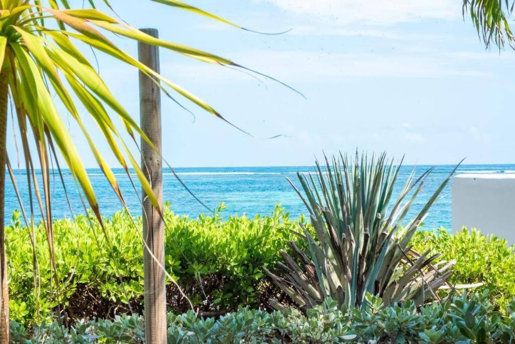 Pasha - Ocean View Apartman Sainte-Anne  Kültér fotó